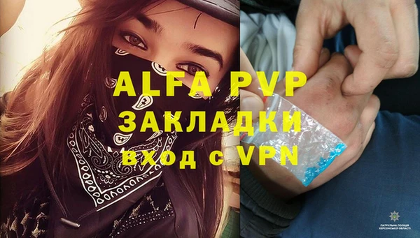 шишки Нея