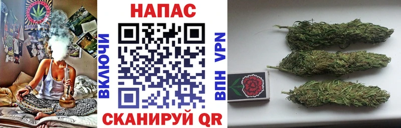 Бошки Шишки гибрид купить наркотики цена Мосальск